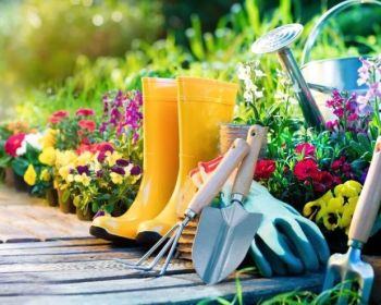 Gardening Essentials At Hoselink You Must Need
